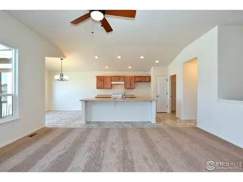 1106 Tur St, Severance, CO 80550 photo 11