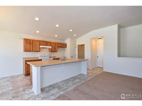 1106 Tur St, Severance, CO 80550 photo 12