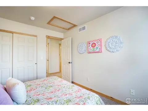 450 Beartooth Ct, Windsor, CO 80550 photo 29