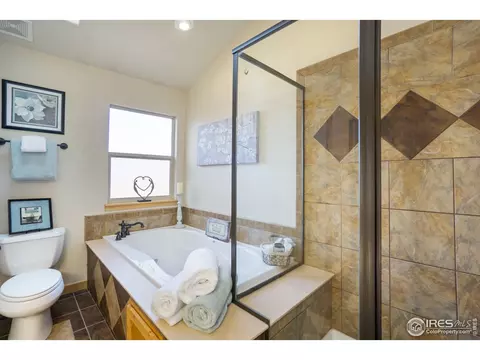 450 Beartooth Ct, Windsor, CO 80550 photo 24