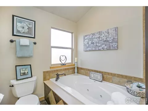 450 Beartooth Ct, Windsor, CO 80550 photo 25
