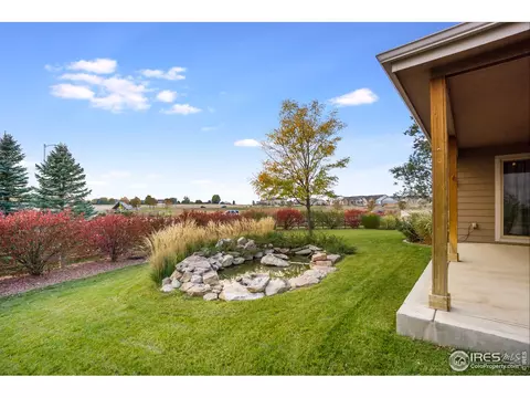 450 Beartooth Ct, Windsor, CO 80550 photo 35