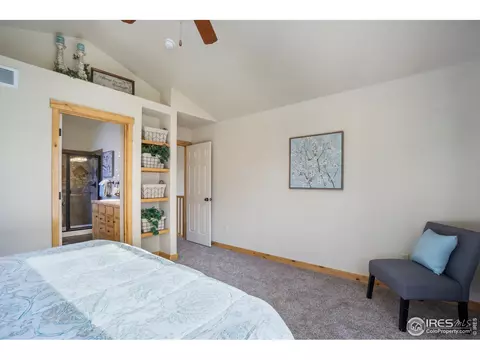450 Beartooth Ct, Windsor, CO 80550 photo 22