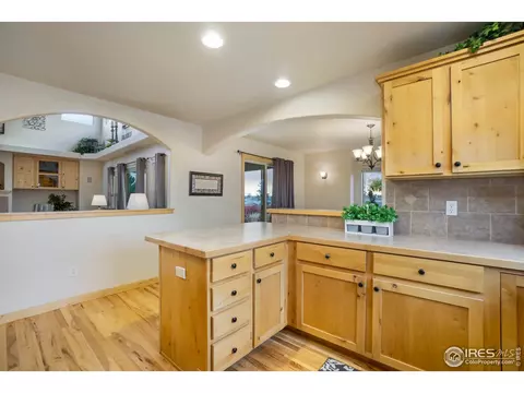 450 Beartooth Ct, Windsor, CO 80550 photo 11
