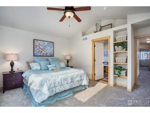 450 Beartooth Ct, Windsor, CO 80550 photo 20