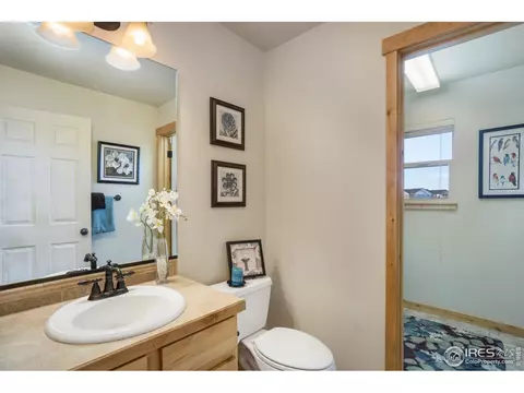 450 Beartooth Ct, Windsor, CO 80550 photo 16