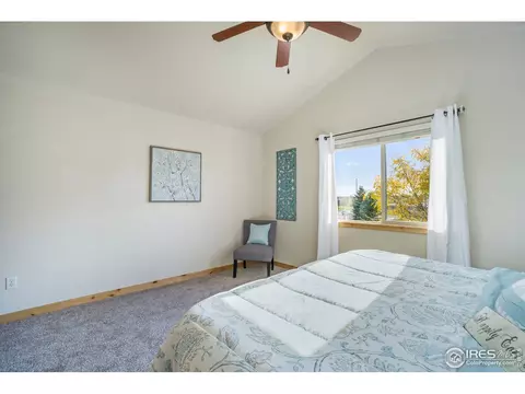 450 Beartooth Ct, Windsor, CO 80550 photo 21