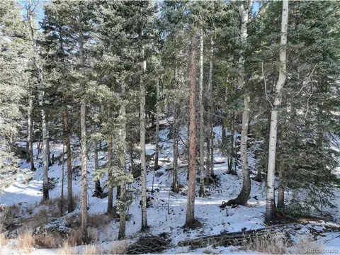 133 Squilchuck Trl, Woodland Park, CO 80863