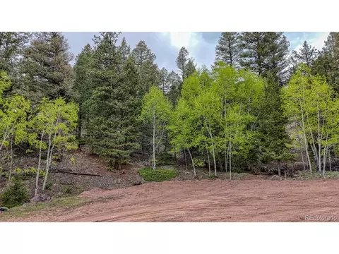 918 Pinon Ln, Florissant, CO 80816