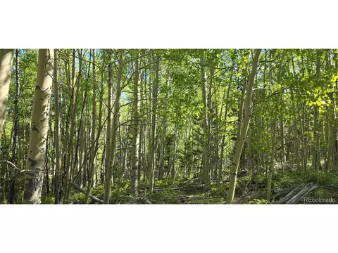 6708 Debbie Rd, Fort Garland, CO 81133