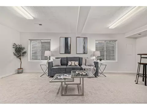 1374 E 96th Pl, Thornton, CO 80229 photo 12
