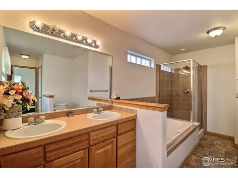 3246 Silverbell Dr, Johnstown, CO 80534 photo 25