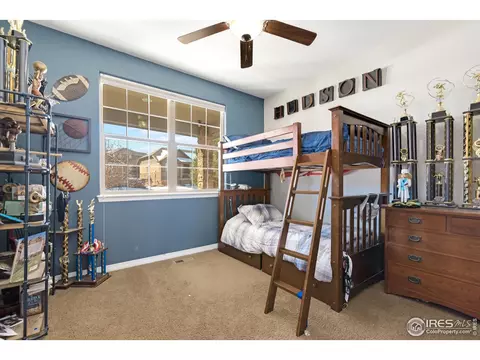 2052 Bayfront Dr, Windsor, CO 80550 photo 17