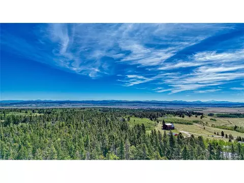 Vine Rd, Fairplay, CO 80440 photo 15