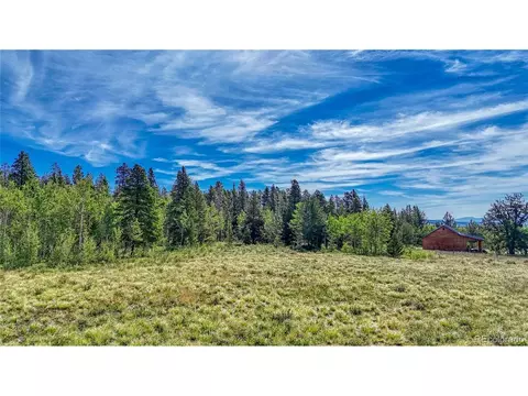 Vine Rd, Fairplay, CO 80440 photo 8