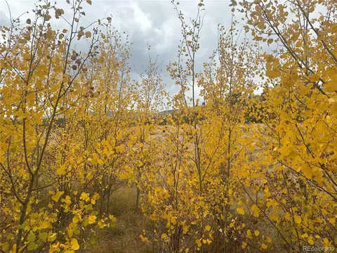 Vine Rd, Fairplay, CO 80440 photo 12