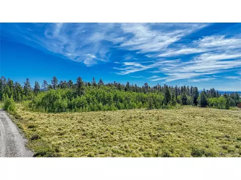 Vine Rd, Fairplay, CO 80440 photo 3