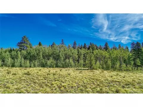 Vine Rd, Fairplay, CO 80440 photo 13