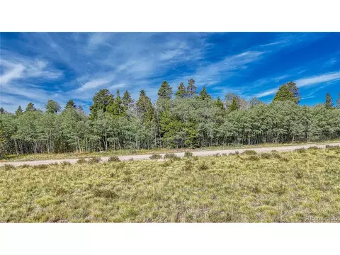 Vine Rd, Fairplay, CO 80440 photo 23
