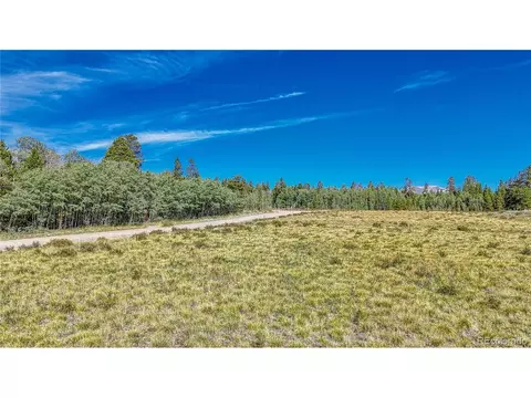 Vine Rd, Fairplay, CO 80440 photo 22