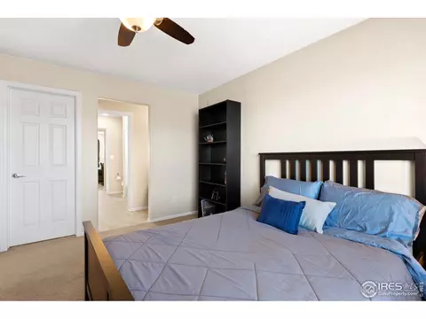 2019 Searay Ct, Windsor, CO 80550 photo 25