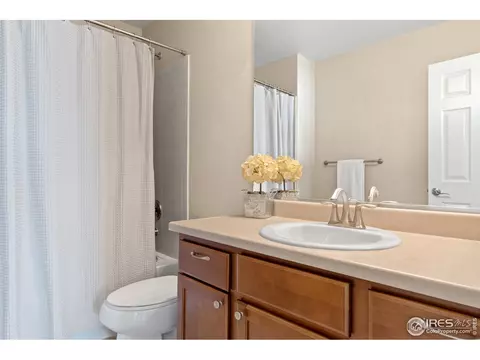 2019 Searay Ct, Windsor, CO 80550 photo 23