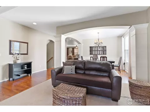 2019 Searay Ct, Windsor, CO 80550 photo 5