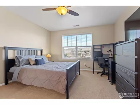 2019 Searay Ct, Windsor, CO 80550 photo 24