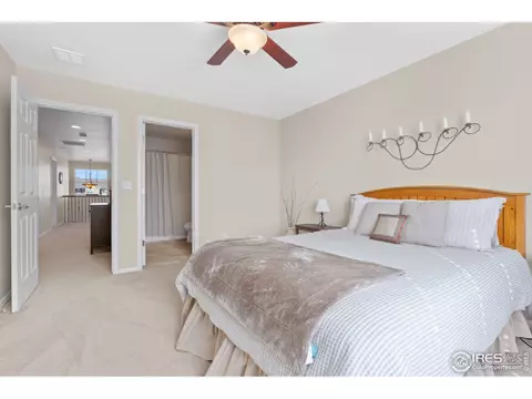 2019 Searay Ct, Windsor, CO 80550 photo 22