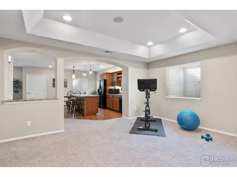 2019 Searay Ct, Windsor, CO 80550 photo 29