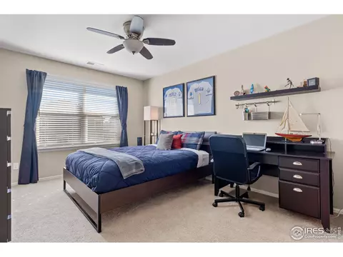 2019 Searay Ct, Windsor, CO 80550 photo 27