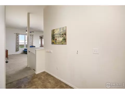 546 Cherryridge Dr, Windsor, CO 80550 photo 6