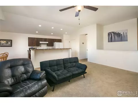 546 Cherryridge Dr, Windsor, CO 80550 photo 10