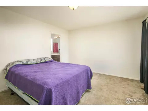 546 Cherryridge Dr, Windsor, CO 80550 photo 14