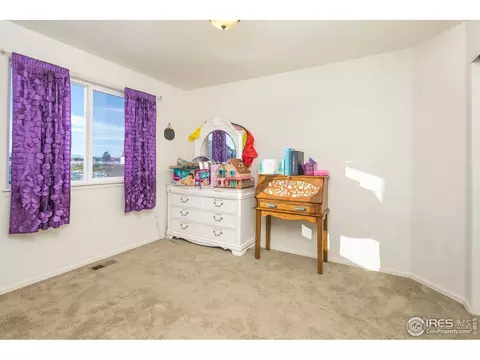 546 Cherryridge Dr, Windsor, CO 80550 photo 19