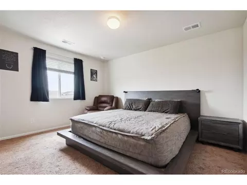 47305 Lily Ave, Bennett, CO 80102 photo 8