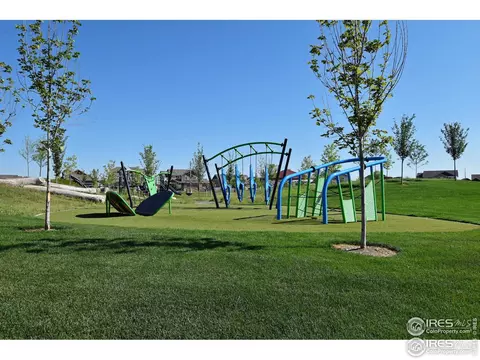 995 Cherrybrook Dr, Windsor, CO 80550 photo 25