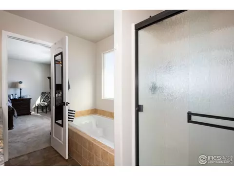 995 Cherrybrook Dr, Windsor, CO 80550 photo 17