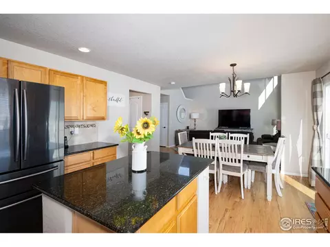 995 Cherrybrook Dr, Windsor, CO 80550 photo 11
