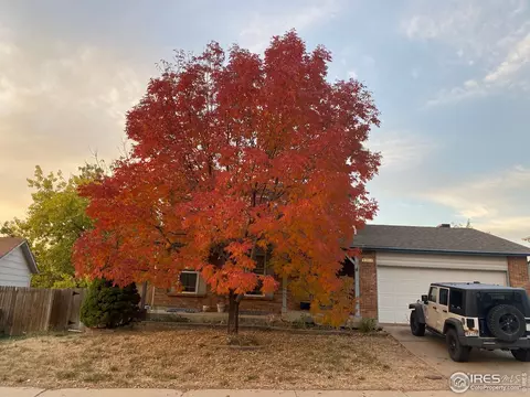 5302 E 108th Pl, Thornton, CO 80233 photo 15