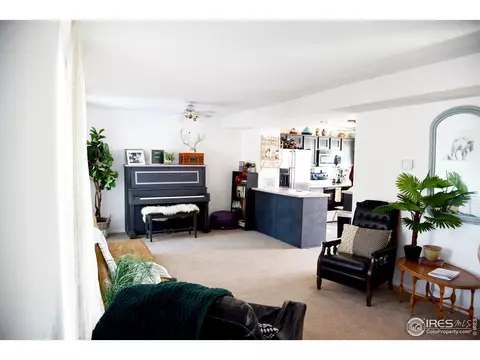 5302 E 108th Pl, Thornton, CO 80233 photo 4