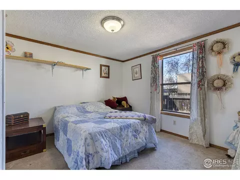 150 Flora Ct, Frederick, CO 80530 photo 15