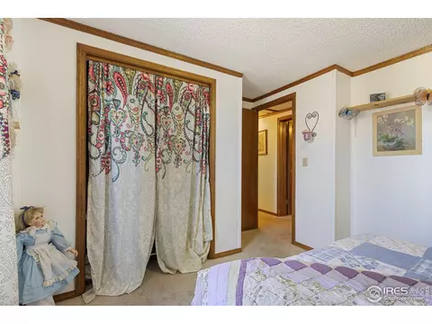 150 Flora Ct, Frederick, CO 80530 photo 16