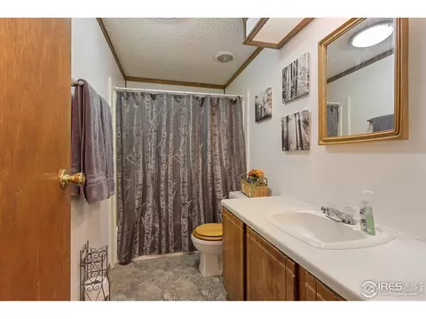 150 Flora Ct, Frederick, CO 80530 photo 17