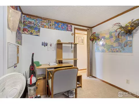 150 Flora Ct, Frederick, CO 80530 photo 19