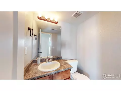 376 Shadowbrook Dr, Windsor, CO 80550 photo 19