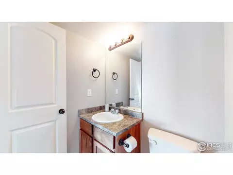 376 Shadowbrook Dr, Windsor, CO 80550 photo 20