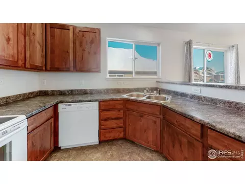 376 Shadowbrook Dr, Windsor, CO 80550 photo 12