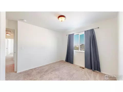 376 Shadowbrook Dr, Windsor, CO 80550 photo 32