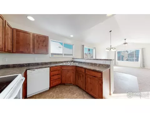 376 Shadowbrook Dr, Windsor, CO 80550 photo 13